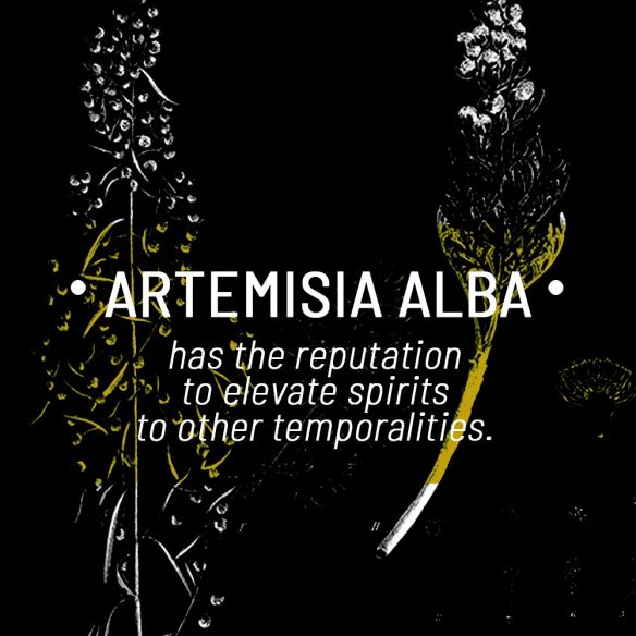 remède n°2 remède n°2