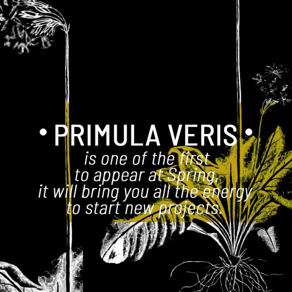 remède n°5 remède n°5